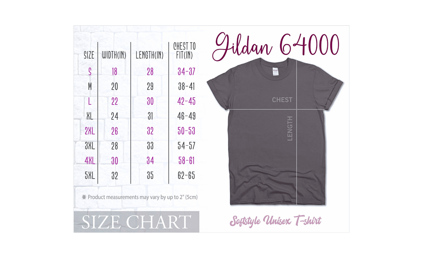 T-Shirt ~ Be the Best Version of You